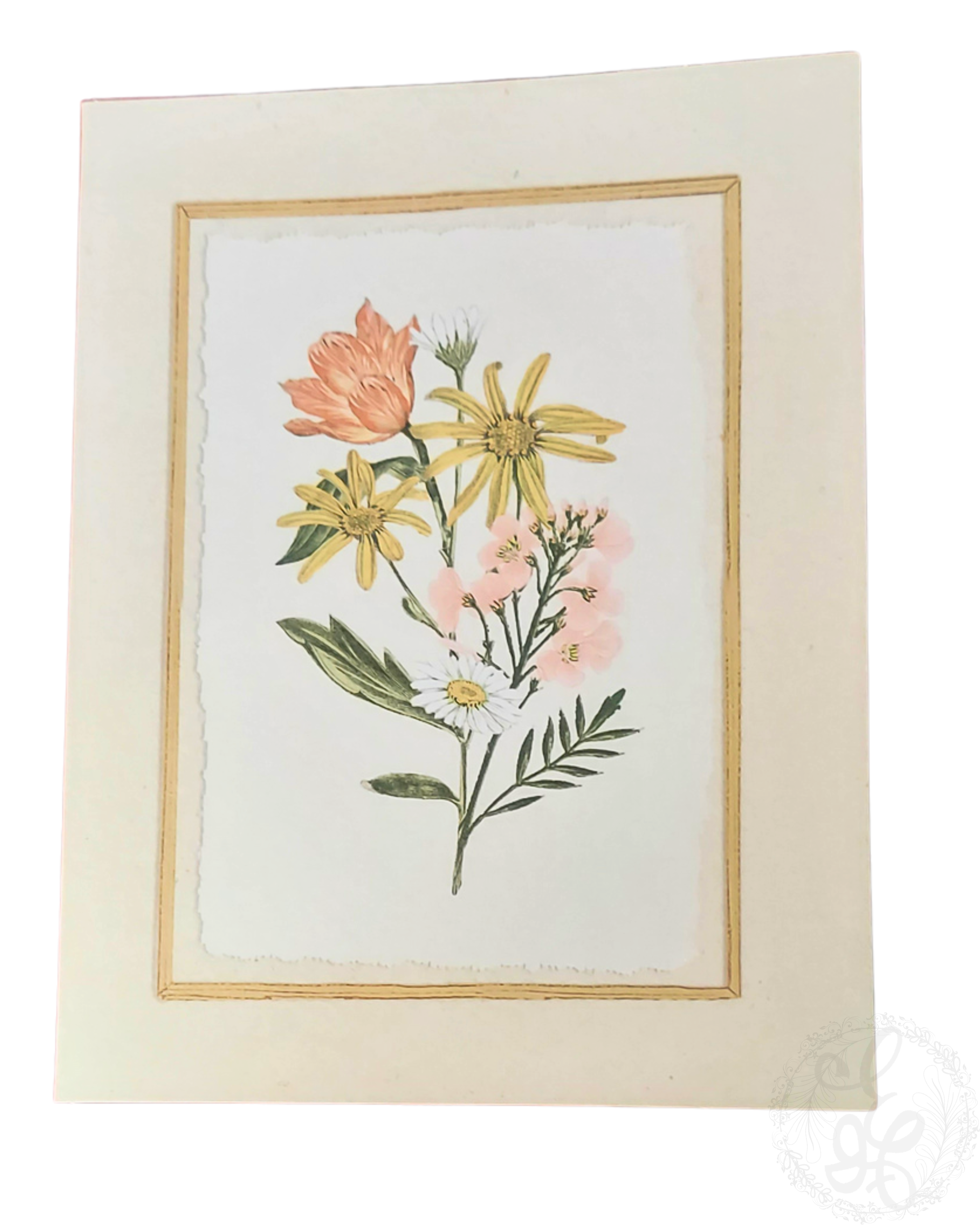 Floral Blank Note Card with Framed Border